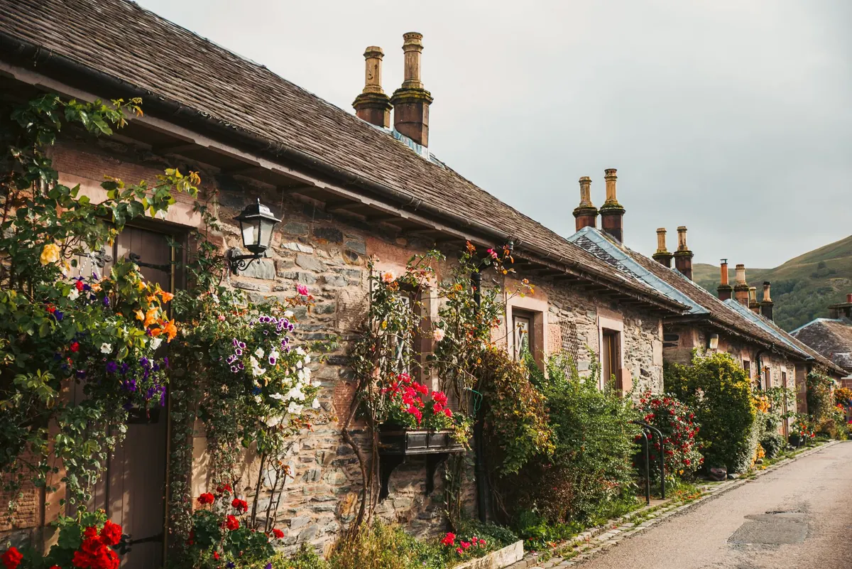 How to Design a Low-Maintenance Cottage Garden Border for a Small UK Plot